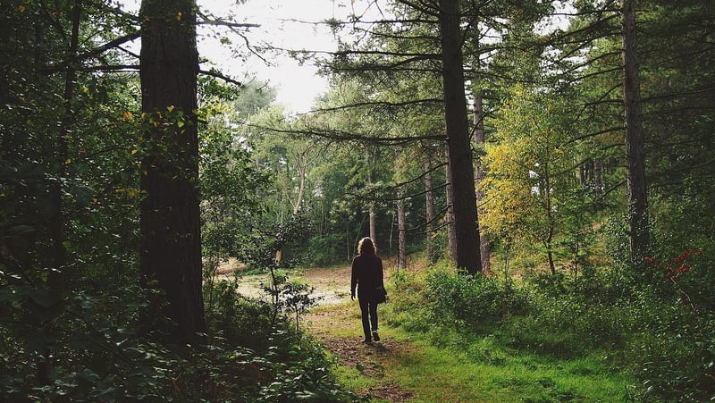 Solo Exploration